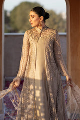 Jamdani-05 - Bareeze 2-Piece Net
