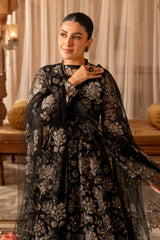 Guncha-02 - Bareeze 2-Piece Net