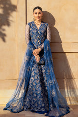 Floral Blush-02 - Bareeze 2-Piece Net