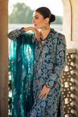 Festive Elegance - Bareeze 2-Piece Organza