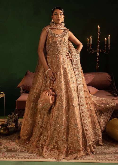 Diara Couture | Onora Wedding Festive | AYLA - WC-2-06