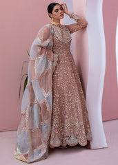 Diara Couture | Tabeer Formals | SHAHBANU - DF-13