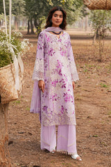 Ramsha | Dhanak Summers | DH-104