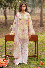Ramsha | Dhanak Summers | DH-105