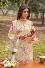 Ramsha | Dhanak Summers | DH-105