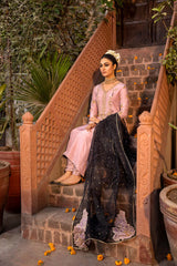 Maya | Wedding Formal Humnawa | GULSHAN