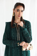 Qalamkar | Chiffon 26 | QCC-05 JANAAN