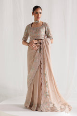 Qalamkar | Chiffon 26 | QCC-04 NOVERA