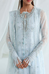 Qalamkar | Chiffon 26 | QCC-08 SONA