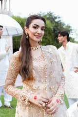 Shagna | Mehfil Festive Formals | SF-05- SUNDAL