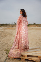 Nilofer Shahid | Verve Summer 24 | Sasha (3pc) – Verve SS 24