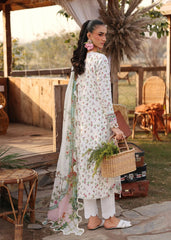 Sardinia | Festive Lawn 26 | Primrose