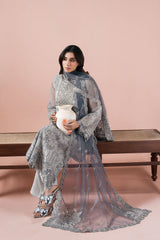 Ramsha | Rangeen Organza | PS-106