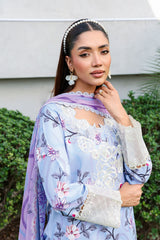Ramsha | Rangrez Lawn Collection | N-905