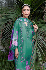 Ramsha | Rangrez Lawn Collection | N-910