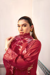 Ramsha | Andaaz Collection | Z-1003