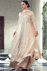 Sana Abbas | Wedding Formals | Coral Reef