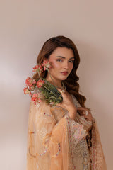 Ramsha | Satrangi 26 | ST-102