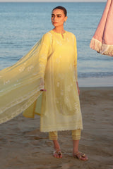 Sahar | Festive Stitched Vol 2 | D14