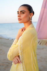 Sahar | Festive Stitched Vol 2 | D14