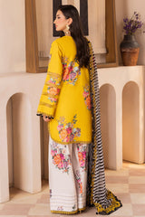 Charizma | Chunnri Collection | CH6-12