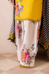 Charizma | Chunnri Collection | CH6-12