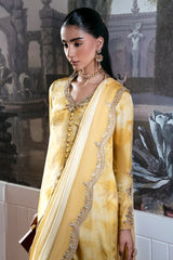 Mina Kashif | Loona Luxe Formals | Zareen